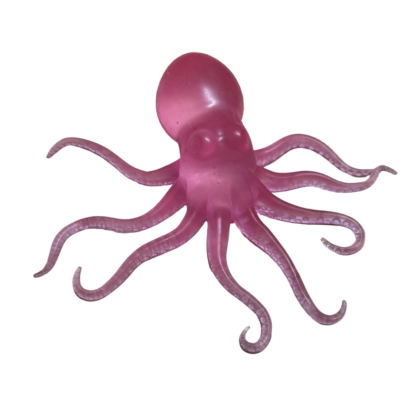 Viral Sugar Octopus Squishy